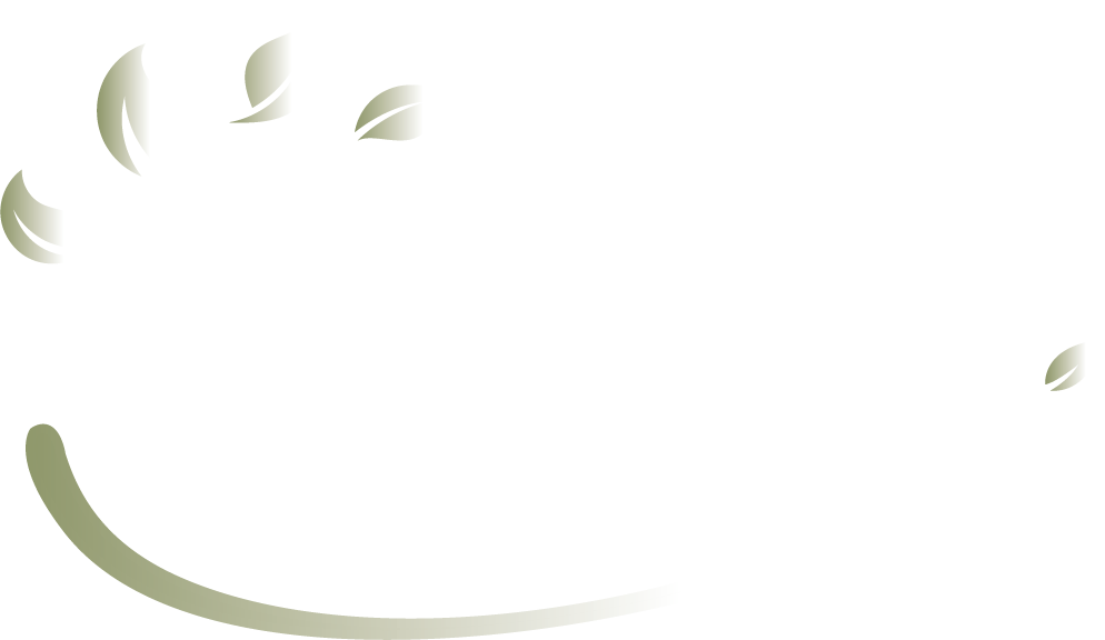 Aline B Naturopathe